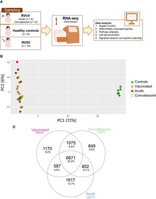 Host Transcriptomic Response Following Administration of Rotavirus Vaccine in Infants’ Mimics Wild Type Infection